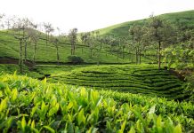 родрпЗропро┐ро▓рпИ роЙро▒рпНрокродрпНродро┐ роЕродро┐роХро░ро┐рокрпНрокрпБ тАУ родрпКро┤ро┐ро▓ро╛ро│ро░рпНроХро│рпН роороХро┐ро┤рпНроЪрпНроЪро┐тАж