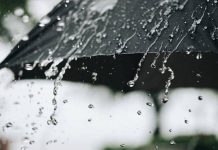 роХрпЗро░ро│ро╛ро╡ро┐ро▓рпН родрпЖройрпНроорпЗро▒рпНроХрпБ рокро░рпБро╡рооро┤рпИ родрпКроЯроЩрпНроХро┐ропродрпБ…