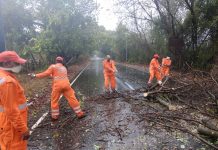 கரையை கடந்தது ‘நிசர்கா’ புயல்! – மும்பையில் பலத்த சேதம்…