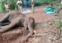 роЕройрпНройро╛роЪро┐ рокро┤родрпНродро┐ро▓рпН ро╡рпЖроЯро┐! – рокро░ро┐родро╛рокрооро╛роХ роЙропро┐ро░ро┐ро┤роирпНрод ропро╛ройрпИ…