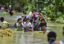 роЕроЪро╛рооро┐ро▓рпН рокрпЖро░рпБ ро╡рпЖро│рпНро│роорпН – 9 роХро╛рогрпНроЯро╛ рооро┐ро░рпБроХроЩрпНроХро│рпН роЙроЯрпНрокроЯ 108 ро╡ро┐ро▓роЩрпНроХрпБроХро│рпН роЙропро┐ро░ро┐ро┤рокрпНрокрпБ