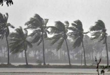 роиро╛ро│рпИ роЙро░рпБро╡ро╛роХро┐ро▒родрпБ рокрпБропро▓рпН – ро╡ро╛ройро┐ро▓рпИ роЖропрпНро╡рпБ роорпИропроорпН