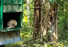 рокрпЛроХрпНроХрпБроХрпН роХро╛роЯрпНроЯро┐роп роЪро┐ро▒рпБродрпНродрпИ! – роХрпВрогрпНроЯро┐ро▓рпН роЪро┐роХрпНроХро┐ропродрпБ