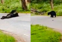 тАЬрооро▓рпНро▓ро╛роХрпНроХ рокроЯрпБродрпНродрпБ ро╡ро┐роЯрпНроЯродрпНрод рокро╛роХрпНроХрпБро▒родрпБ роОро╡рпНро│рпЛ роЪрпБроХроорпНтАЭ – роЪро╛ро▓рпИропро┐ро▓рпН роЙро▒роЩрпНроХро┐роп роХро░роЯро┐