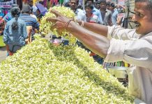 рооро▓рпНро▓ро┐роХрпИрокрпН рокрпВ ро╡ро┐ро▓рпИ роЕродро┐ро░роЯро┐ роЙропро░рпНро╡рпБ! – роХро┐ро▓рпЛ ро░рпВ.5,000-роХрпНроХрпБ ро╡ро┐ро▒рпНрокройрпИ