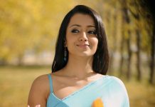 நான் இங்க தான் இருக்கேன் – வீடியோ வெளியிட்ட திரிஷா