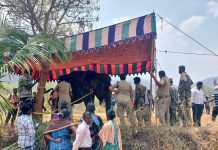 வாயில் காயத்துடன் சுற்றி திரியும் காட்டுயானைக்கு சிகிச்சை