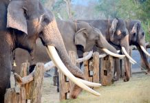 ропро╛ройрпИ родро╛роХрпНроХро┐ рокро╛роХройрпН роЙропро┐ро░ро┐ро┤рокрпНрокрпБ!