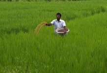 родрооро┐ро┤роХродрпНродро┐ро▓рпН роиро┐ро▓роХрпНроХро░ро┐ роЪрпБро░роЩрпНроХроорпН роЕроорпИроХрпНроХрпБроорпН роорпБроЯро┐ро╡рпБ ро░родрпНродрпБ – роородрпНродро┐роп роЕро░роЪрпБ