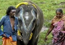 рокрпКроорпНрооройрпН – рокрпЖро│рпНро│ро┐ родроорпНрокродро┐роХрпНроХрпБ рокрпЛро▓рпАро╕рпН рокро╛родрпБроХро╛рокрпНрокрпБ