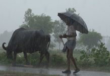 தமிழகத்தில் 5 நாட்களுக்கு மழைக்கு வாய்ப்பு! – வானிலை ஆய்வு மையம்